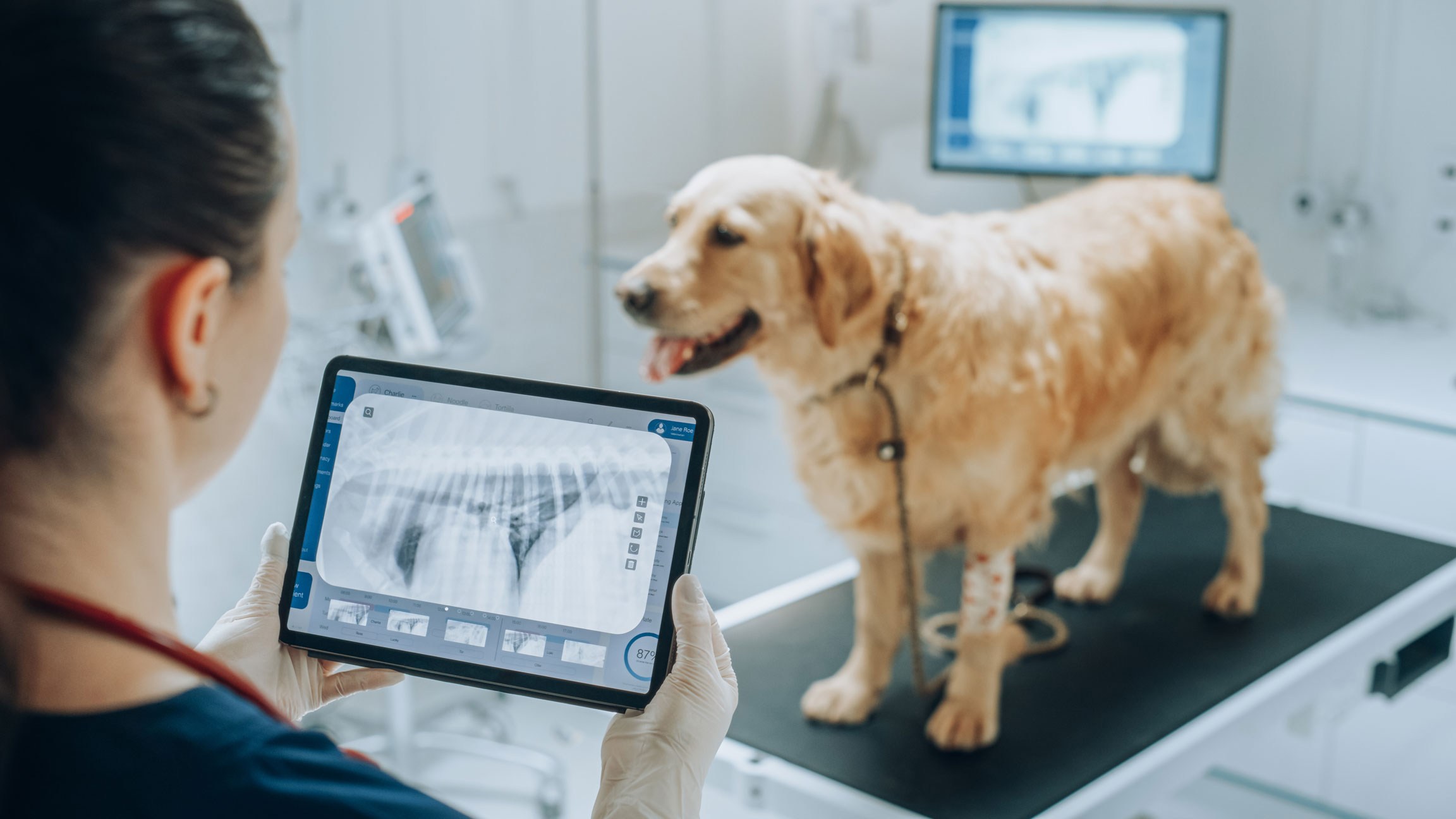 Radiology – Digital X-Rays